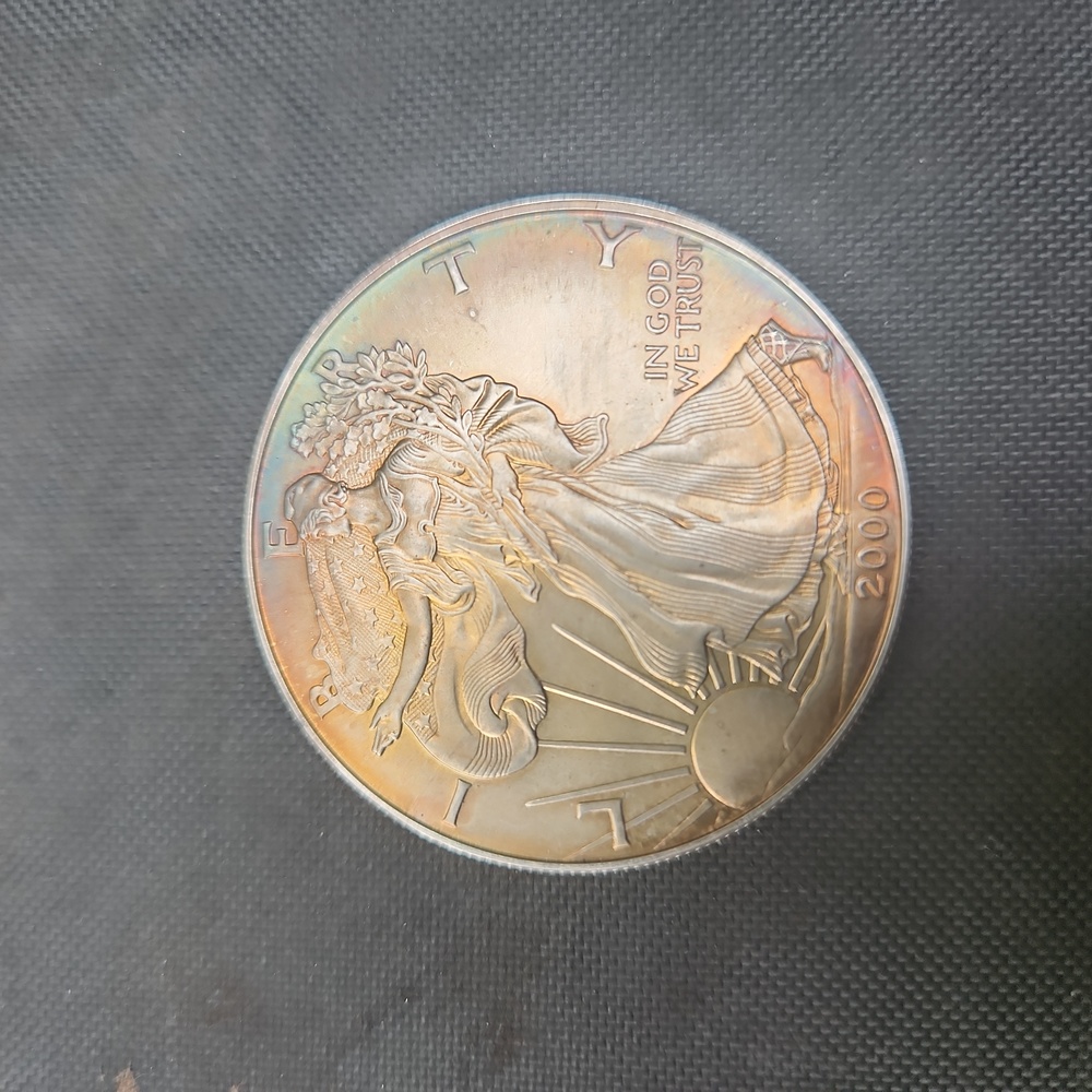 2000 Toned Silver Eagle One Dollar Coin